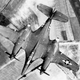 The unique blended wing and nacelles of the XP-67 “Bat” are shown in this view from above (US Air Force)